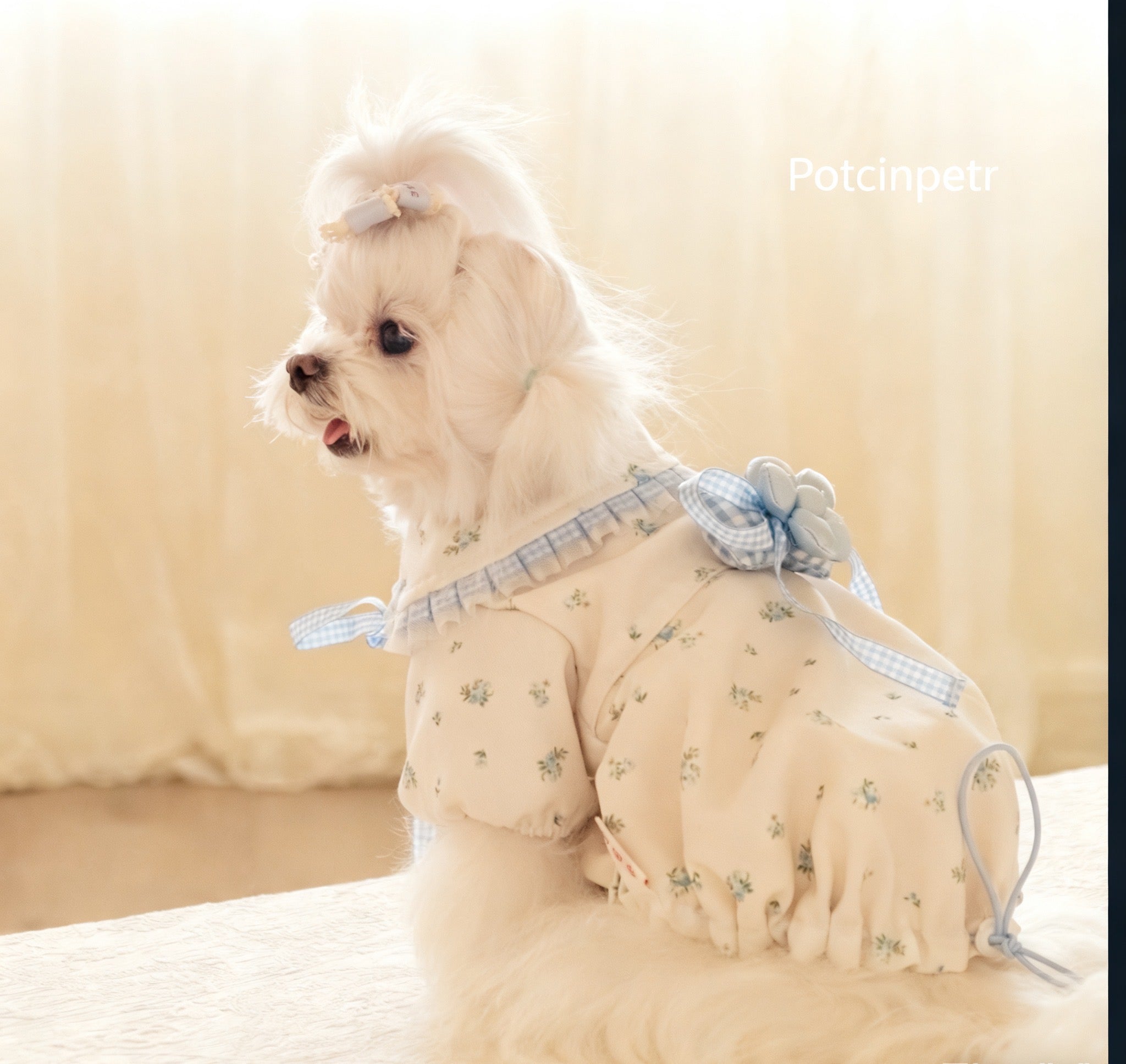 Pet floral figure-hugging skirt: Adjustable hip circumference in blue and purple floral patterns