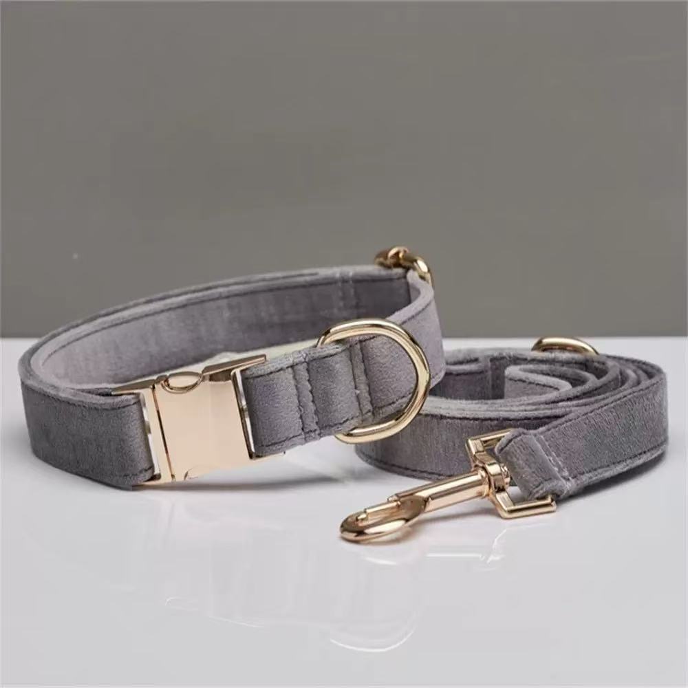 VELVET METAL BUCKLE COLLAR