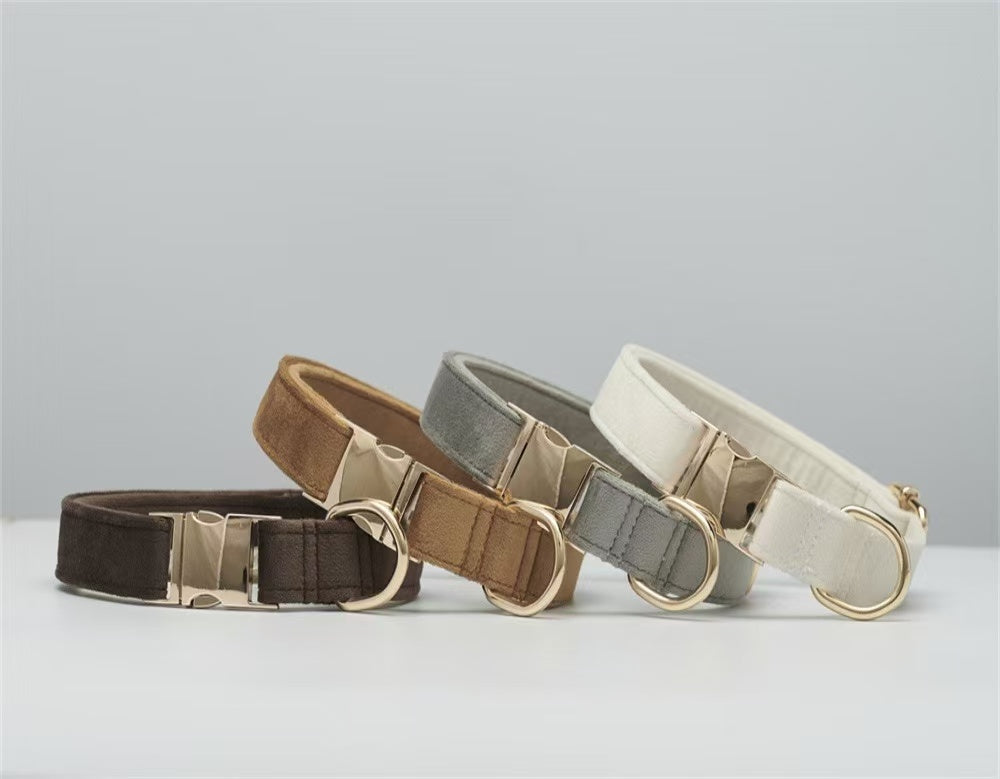 VELVET METAL BUCKLE COLLAR