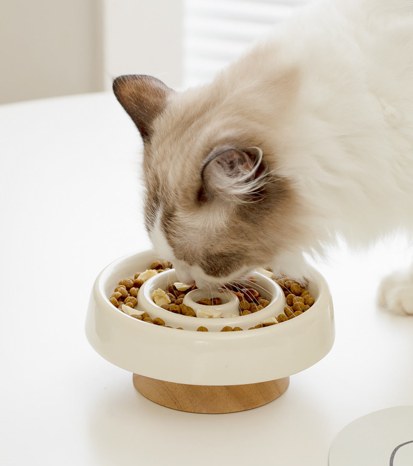 CERAMIC SLOW FOOD BOWL