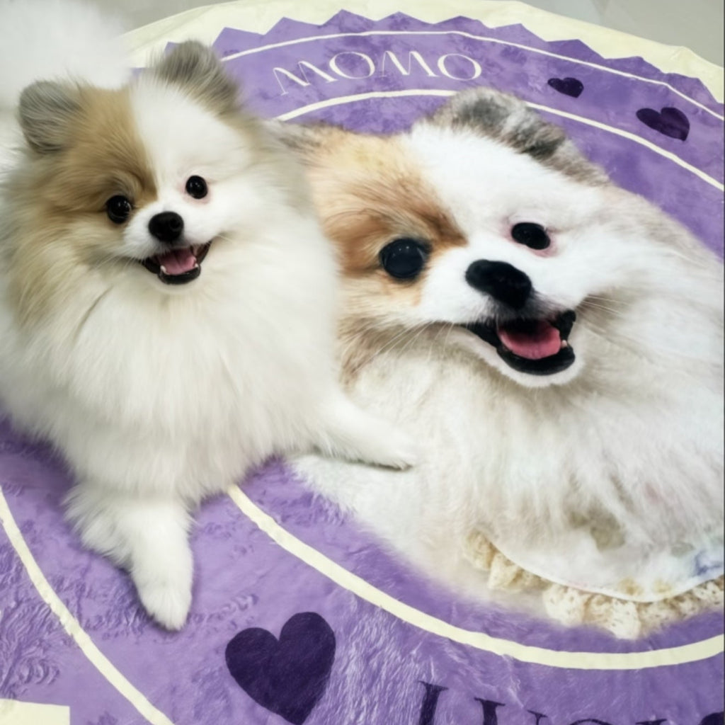 Custom Pet Portrait Rug - Handmade Personalized Dog/Cat Rug