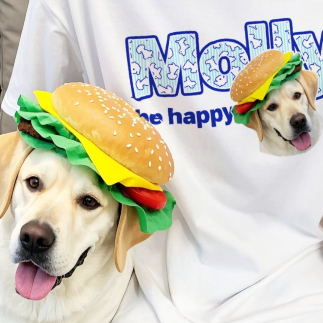 Custom Pet T-Shirts: Express Your Furry Friend's Personality
