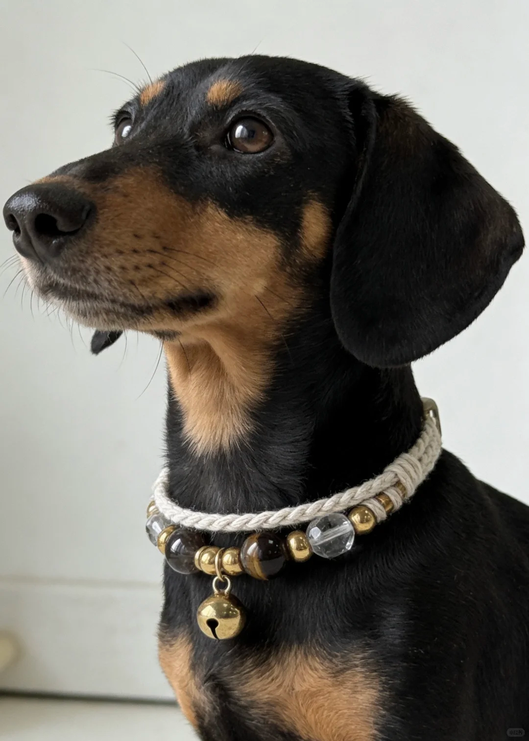 Pet natural crystal 丨tiger eye stone crystal tea crystal collar / bracelet