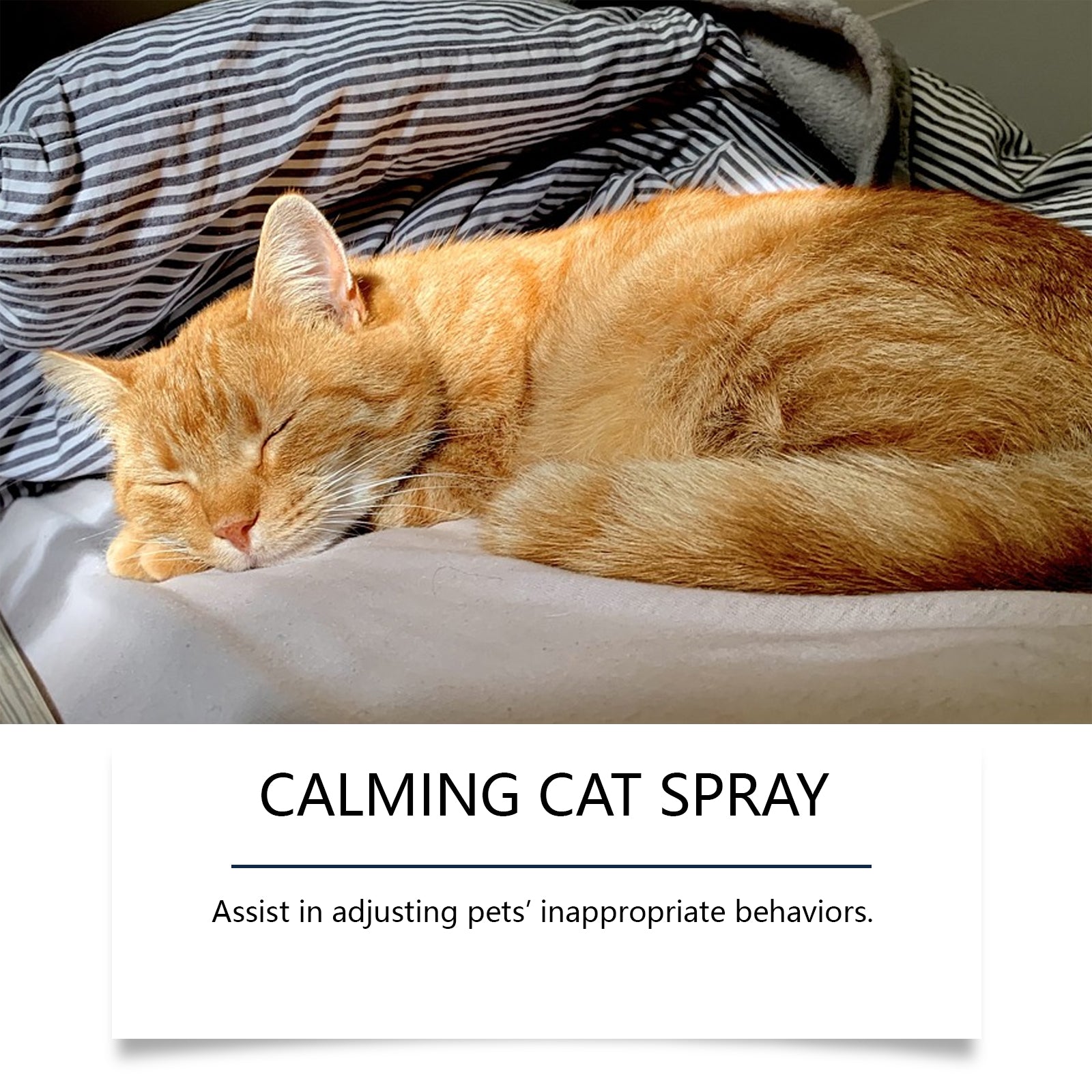 Same style on Amazon-Cat grooming spray - gentle care spray to soothe cats, prevent scratching, and stop inappropriate urination.